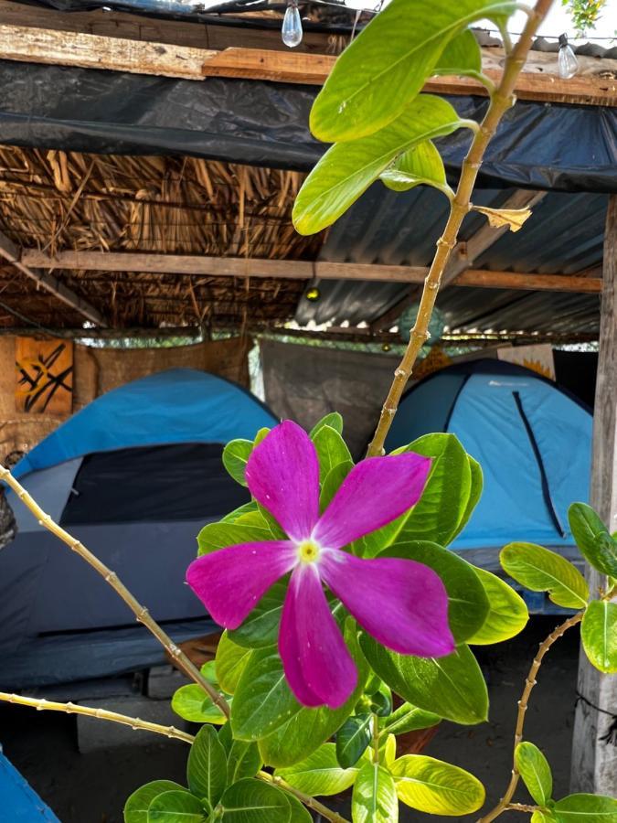 Casa De Los Santos Camping Y Eco Cabanas Isla Holbox Luaran gambar